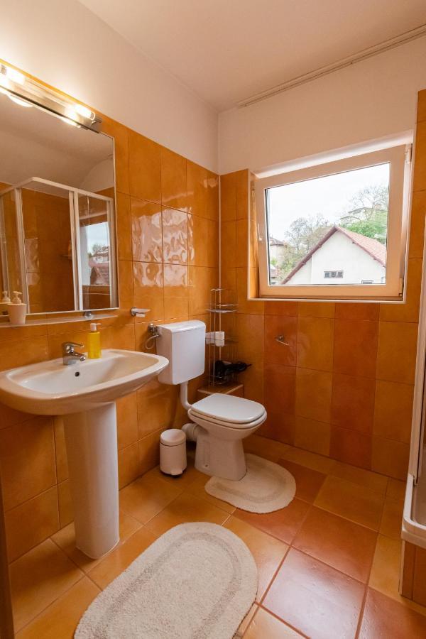 Residence 48 Beautiful Building Within Moments From The Old Town Of Брашов Екстериор снимка